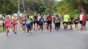 Runners take off on the second half of the Virgin Gorda Half Marathon course during Saturday's Dive BVI 10K series finale, which was a tune up for the event. Photo: Todd VanSickle 